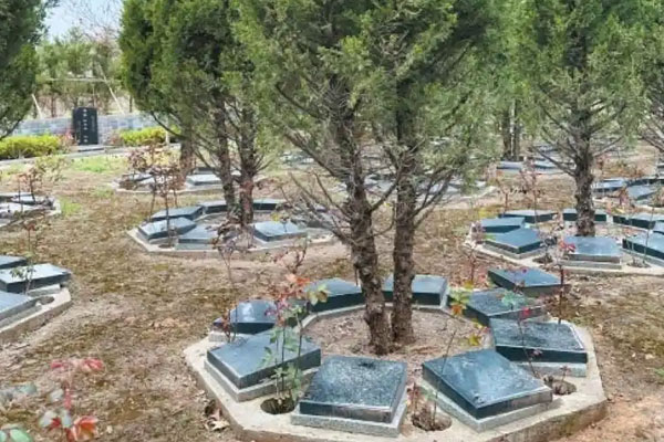 清明寄哀思 绿色送远行——新规赋能下西安生态殡葬新风劲吹