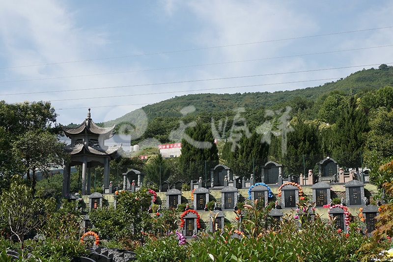 汉陵墓园墓区实拍