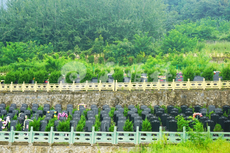 九龙山墓园墓区实拍