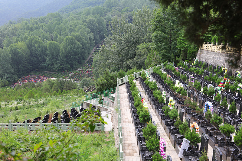九龙山墓园墓区环境