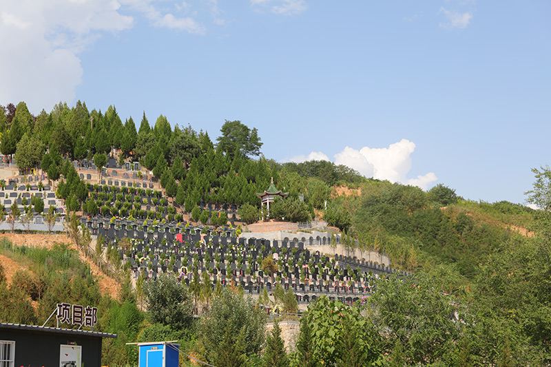 公墓半山景观