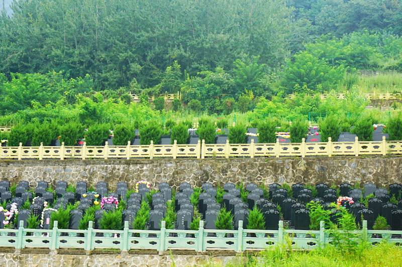 九龙山公墓碑型展示