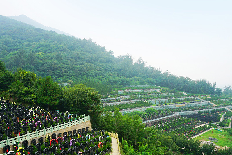 九龙山公墓墓区实拍