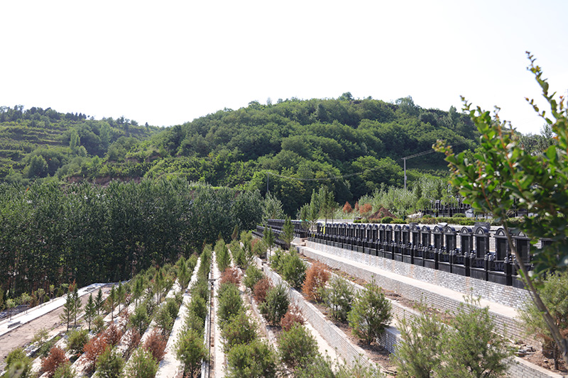在建墓区