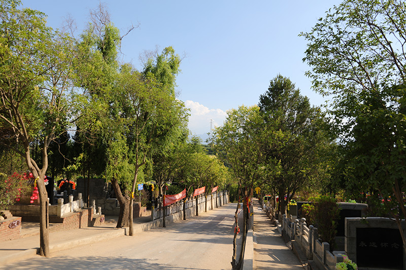 园区道路