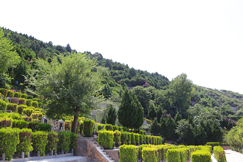 寿阳山墓园墓区绿化