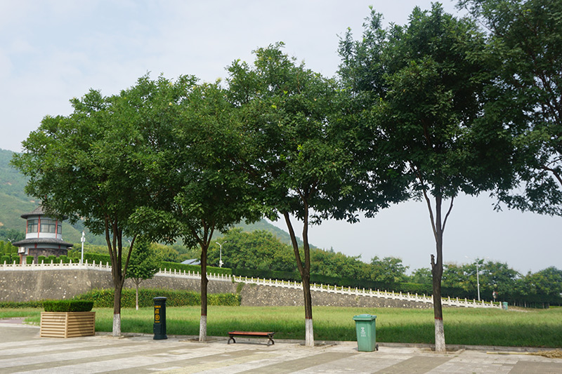 西安霸陵墓园新区环境