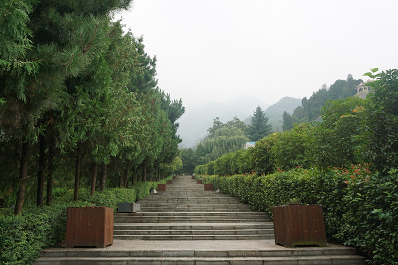 环境实拍