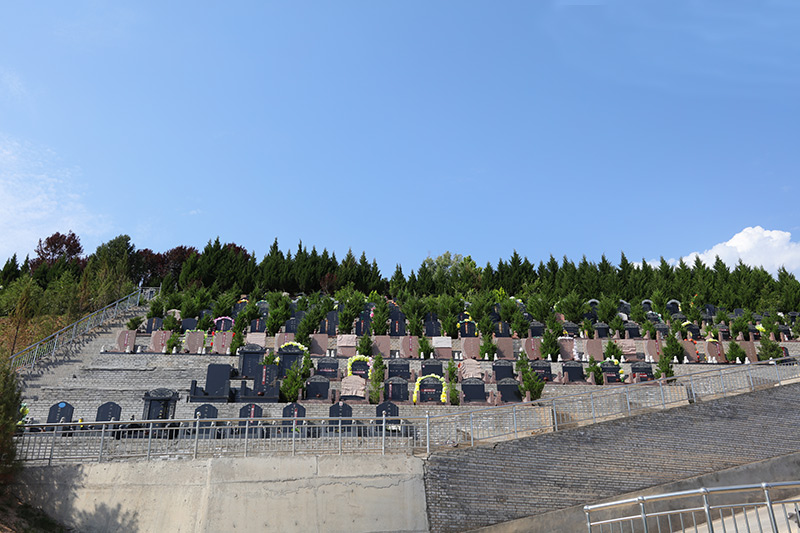 墓区实拍 墓区实拍