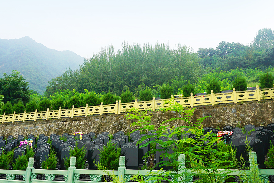 墓区实拍 墓区实拍