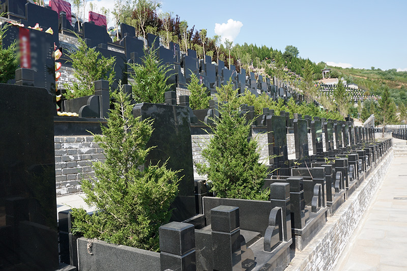 白鹿原公墓实拍 白鹿原公墓实拍