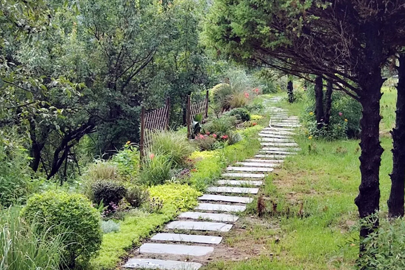 墓区道路 墓区道路