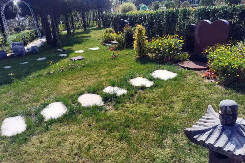 墓区实拍 墓区实拍