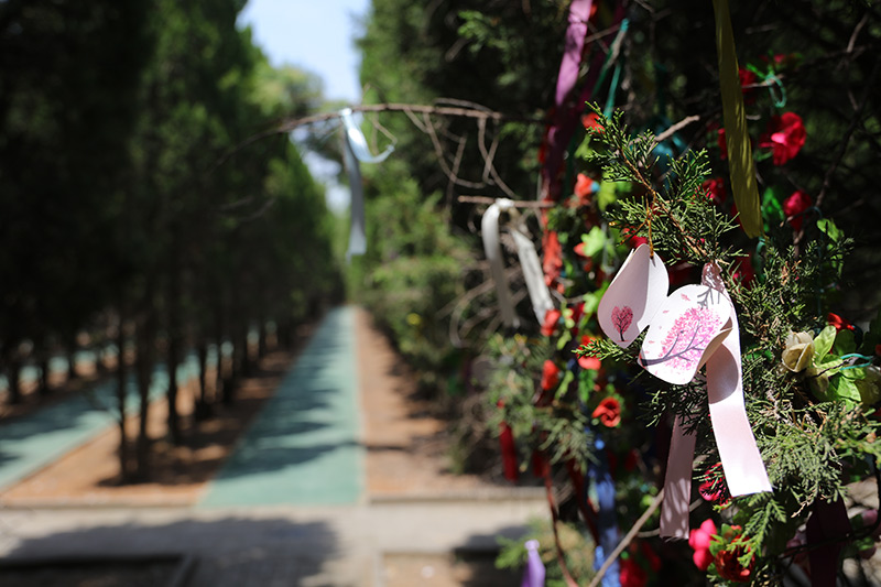 汉皇树葬墓园树葬实拍