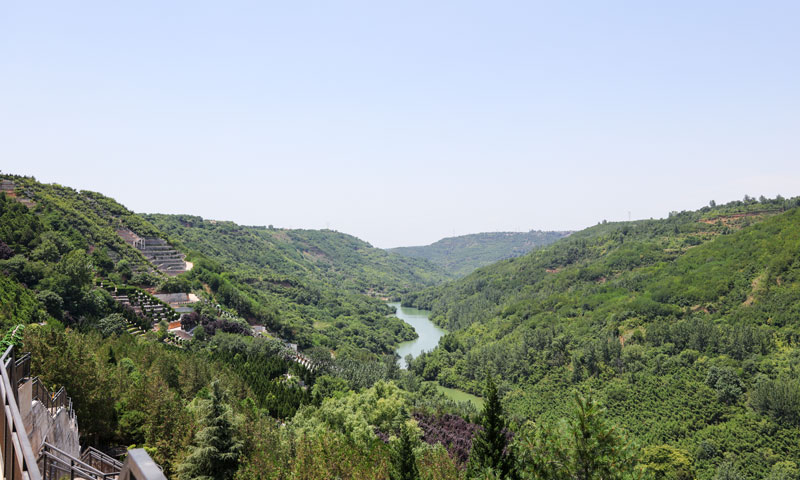 寿阳山墓园环境