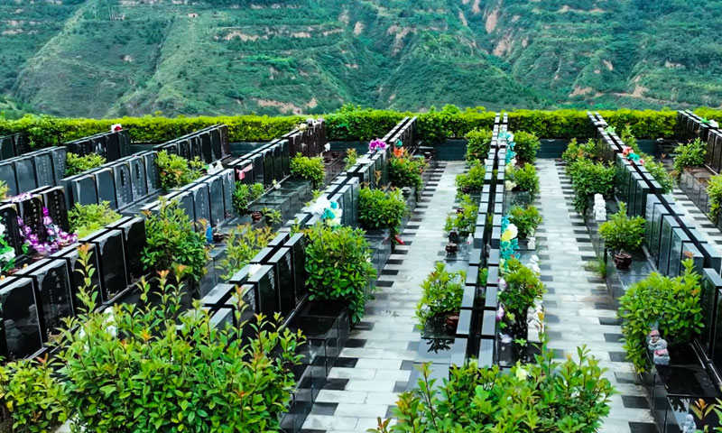 唐昭陵墓园紫薇园墓区景观