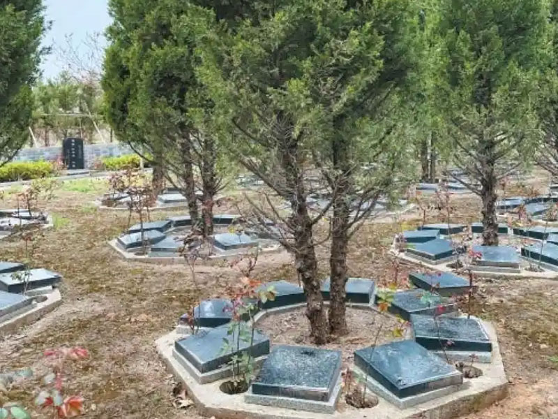 凤栖山人文纪念园的树葬区域