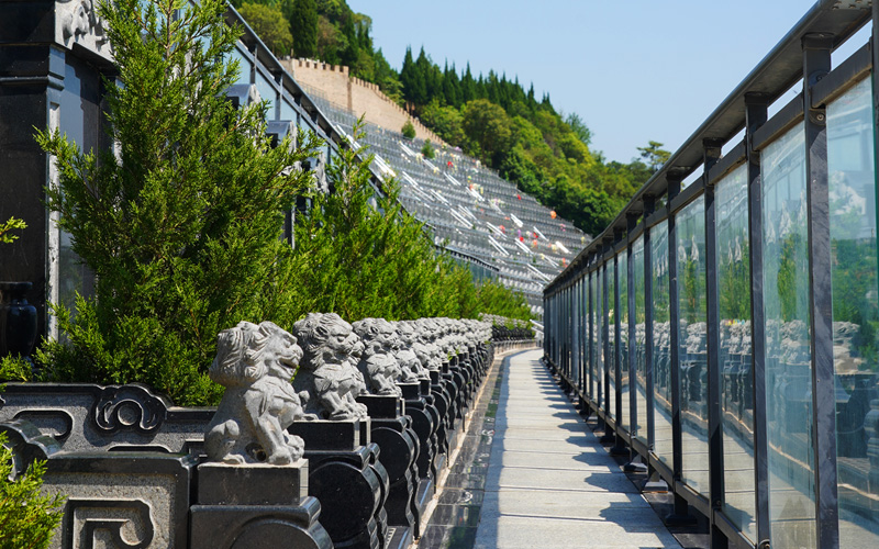 灞桥区高桥墓园墓区实拍 灞桥区高桥墓园墓区实拍