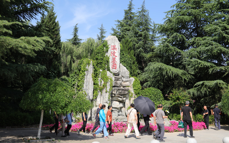 西安汉陵墓园松柏苍翠 西安汉陵墓园松柏苍翠